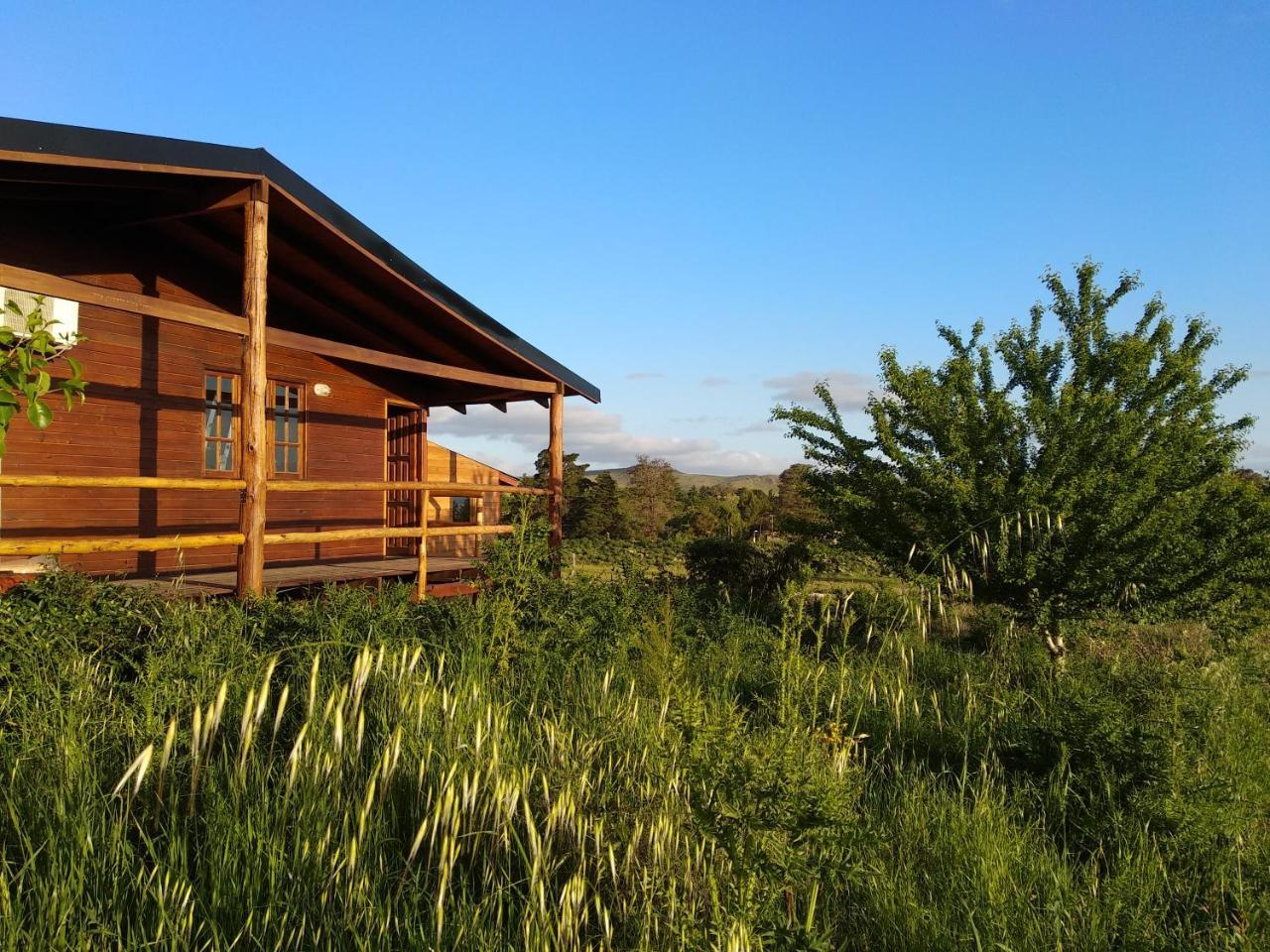 Cabanas Tres Pinos Sierra de la Ventana Extérieur photo